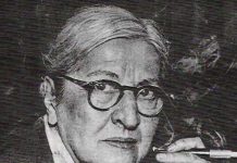 Ana Hisleri | Halide Edip Adıvar