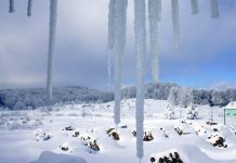 Yılın İlk Karı Yağdı | Ahmet Erhan